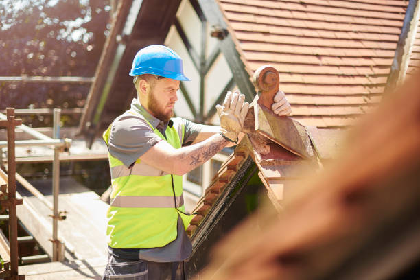 Best Residential Roof Replacement  in Norway, MI