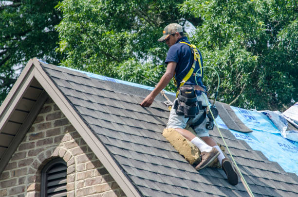 Best Roof Maintenance Services  in Norway, MI